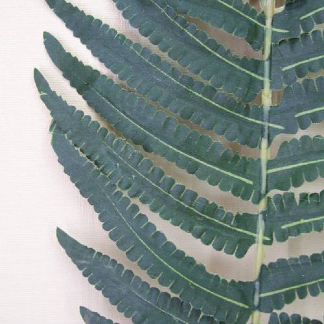 Artificial Fern Leaves Extra Large Artificial Ferns